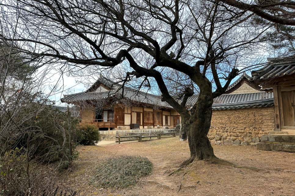 Andong City Guide: Jjimdak, Mask Dance, and Korea's Cultural Heart - Korea food guide by Woongie