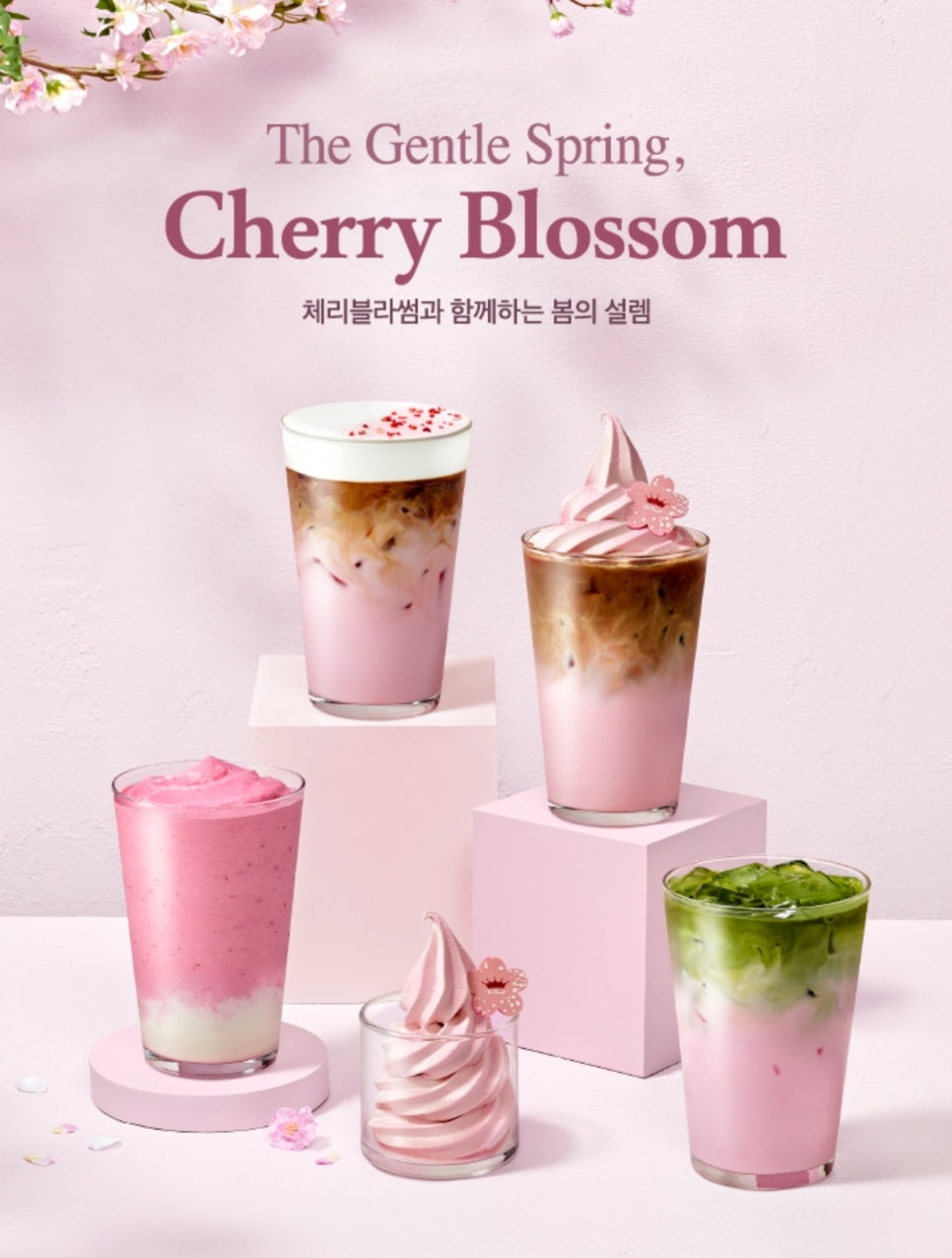 What to Eat During Cherry Blossom Season in Korea - Korea food guide by Woongie