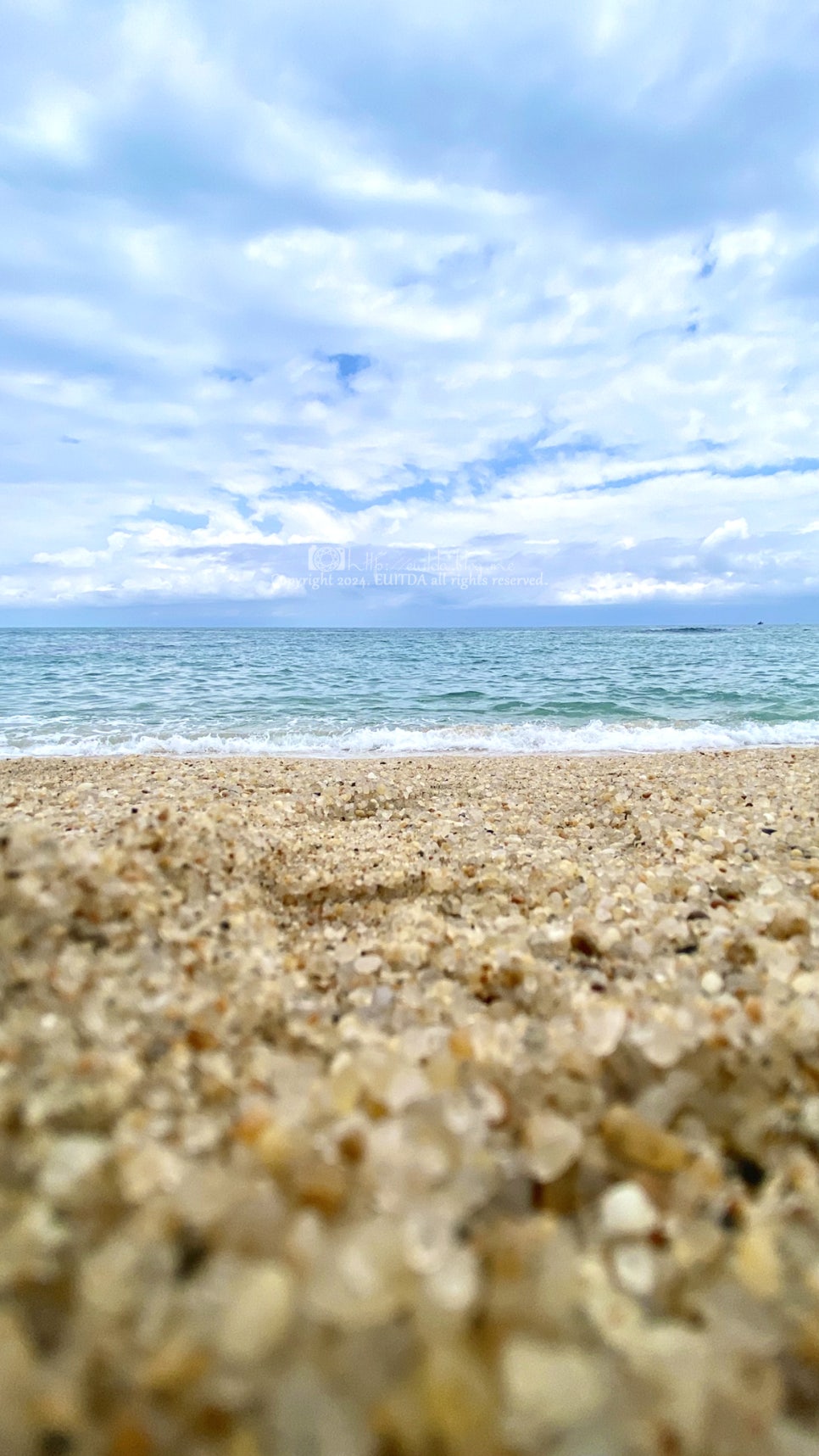 Gangneung City Guide: Coffee, Sundubu, and the East Sea - Korea food guide by Woongie