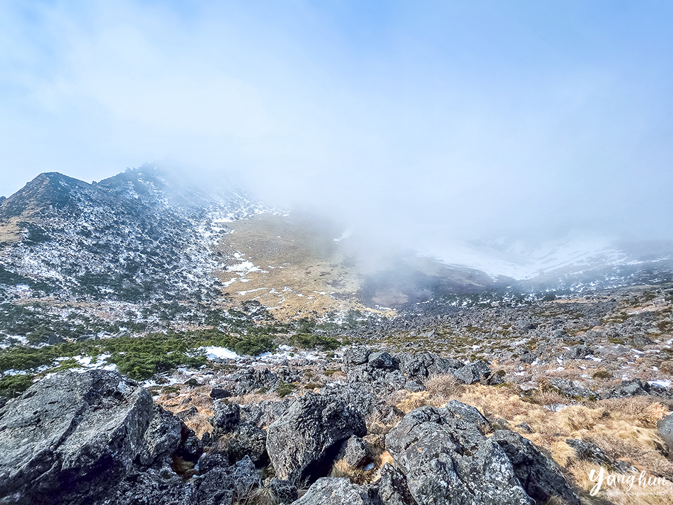 Jeju West: Hallasan, O'sulloc, and Aewol Cafes - Korea food guide by Woongie